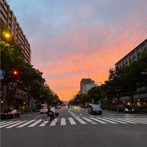 Meet your Posher, Kendal - Picture 1 of 1